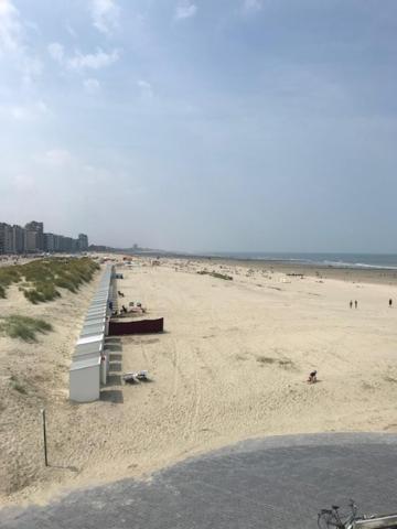 Apollo 1 Apartment Nieuwpoort Bagian luar foto